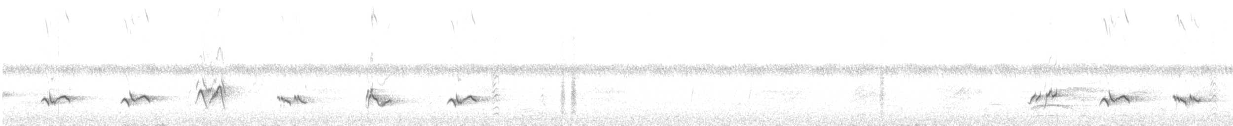 קיכלי נודד - ML161643291