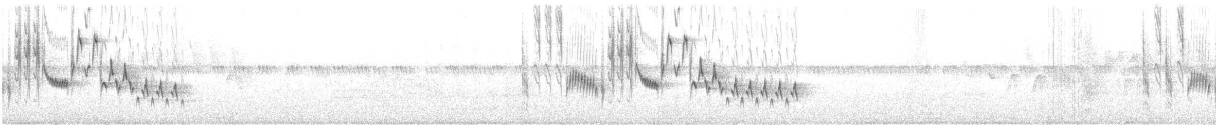 Northern House Wren - ML161643971