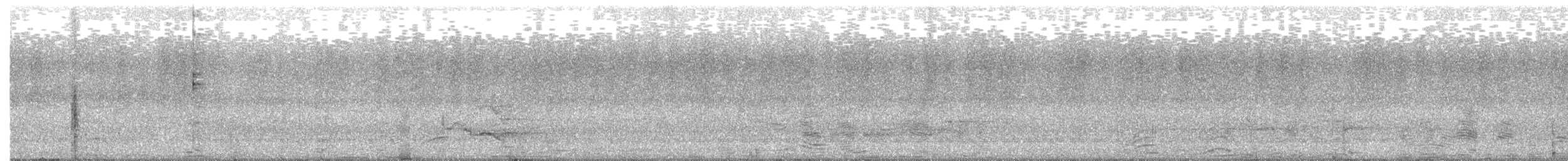 kakadu bělouchý - ML161661841