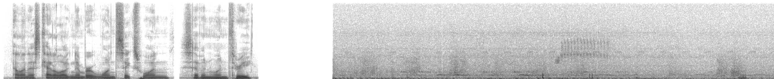 Spotted Towhee (oregonus Group) - ML161713
