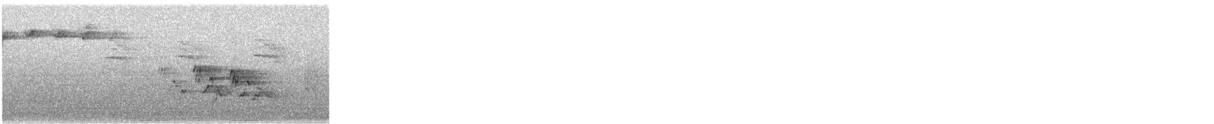 Mourning Warbler - ML161717591