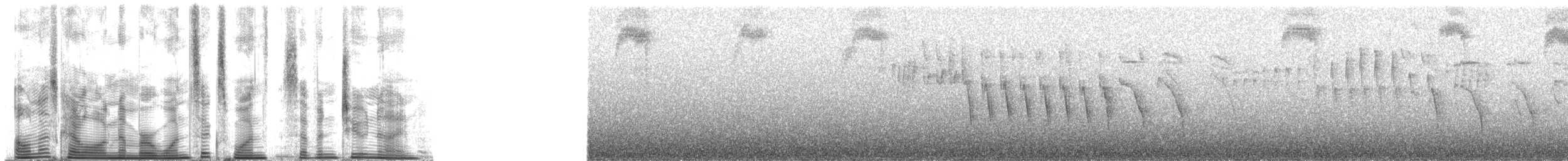 Black-spectacled Brushfinch - ML161729