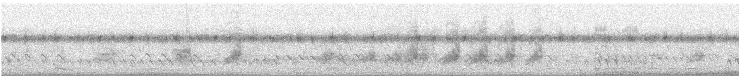 Schwarzflügelmaina (tricolor) - ML161756011