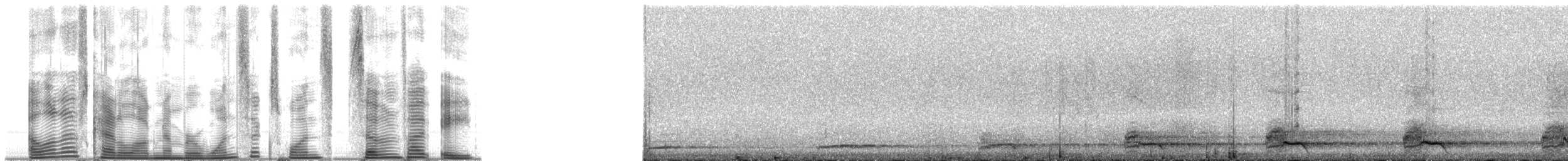 Kara Yüzlü Ağaçbıldırcını - ML161758