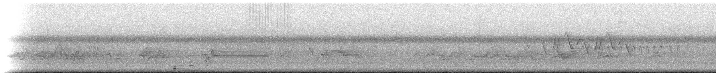 Cisne Trompetero - ML161765481