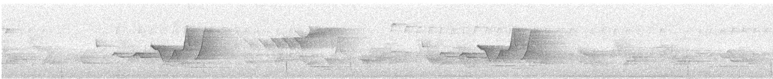 Hooded Warbler - ML161825071