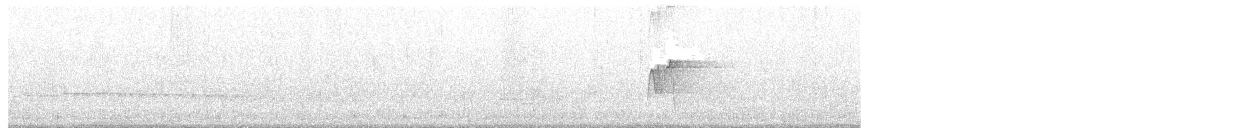 Піві-малюк оливковий - ML161831681