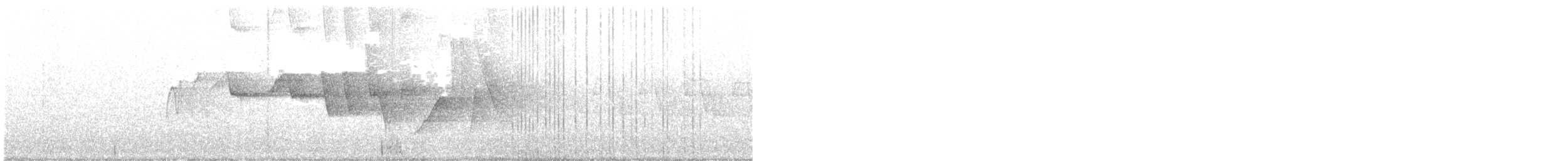 Смугастоволець білобровий - ML161831761