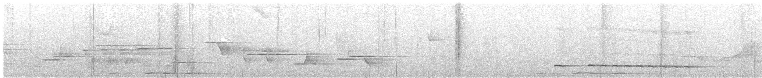 holub krátkozobý - ML161872751