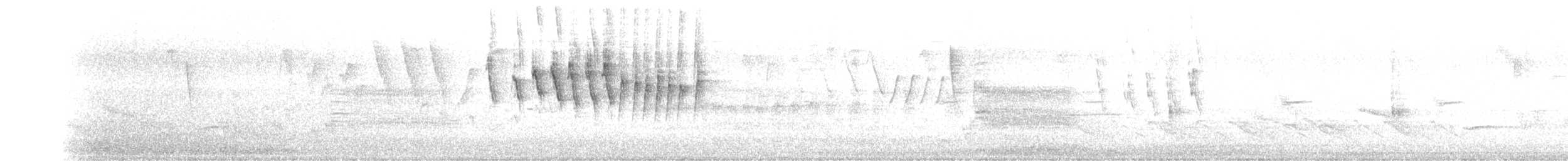 Wilson's Warbler - ML161878151