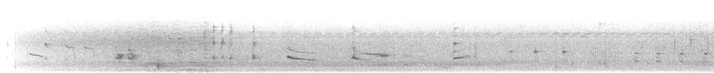 Long-tailed Shrike - ML161886711