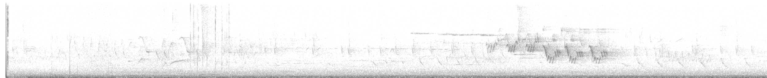 Черногорлая хвойница - ML161936271