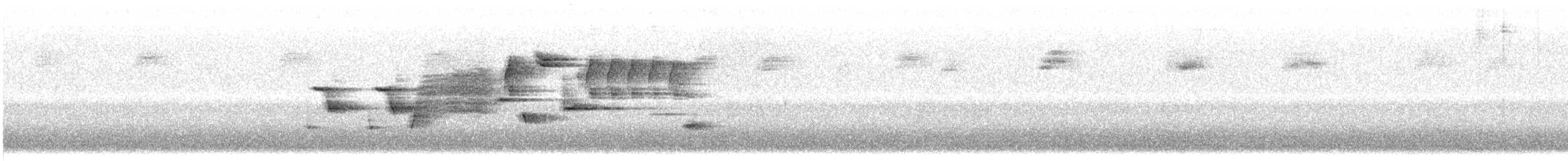 Song Sparrow (melodia/atlantica) - ML161941031