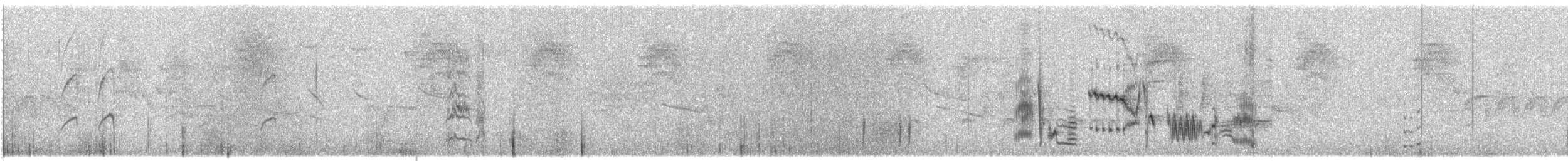 Phainopepla - ML161947191