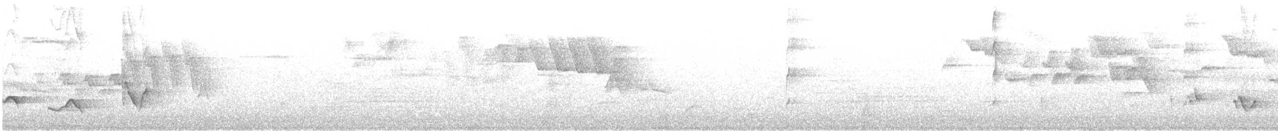 Черноголовый толстонос - ML161955191