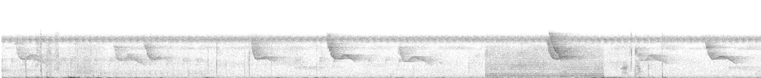 Белокрылая сорокопутовая танагра - ML161970771