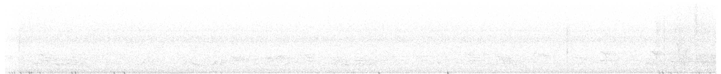 Carolinanachtschwalbe - ML162043541