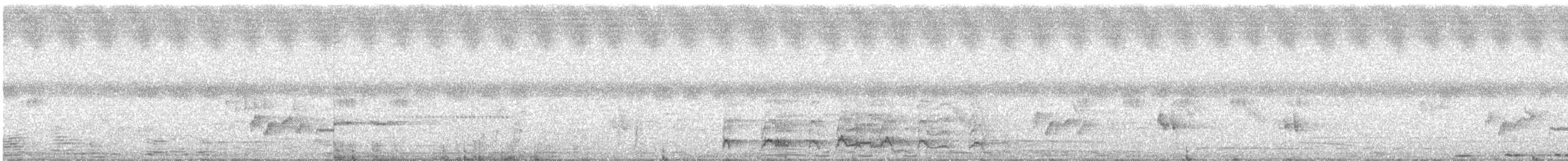 Серый петух - ML162052151