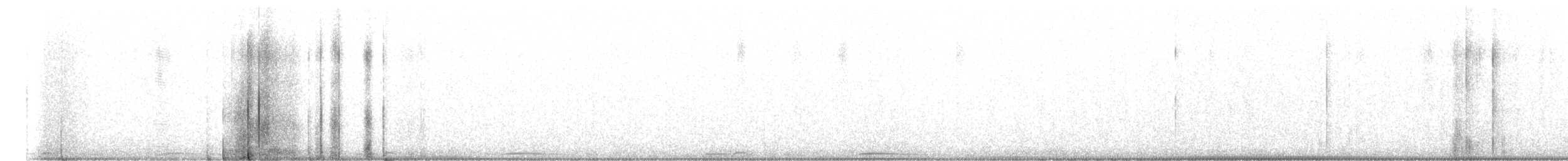 Белошапочный голубь - ML162082241
