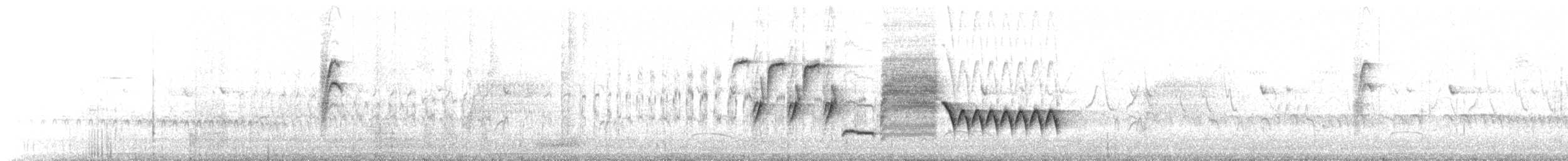 Troglodyte de Bewick - ML162088051