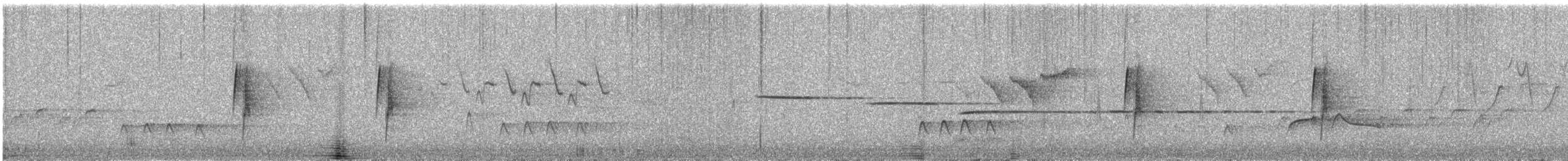 Küçük Boreal Sinekkapan - ML162162421