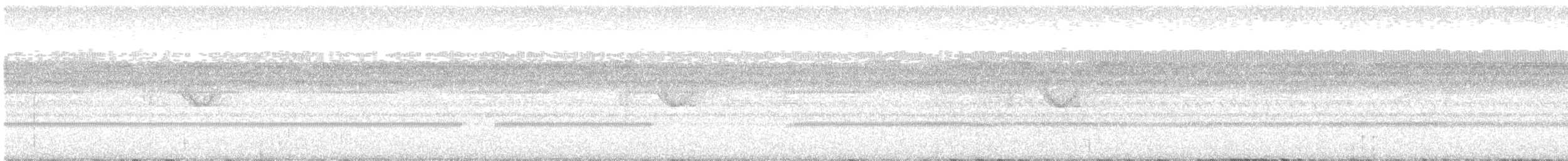 Spot-tailed Nightjar - ML162176921