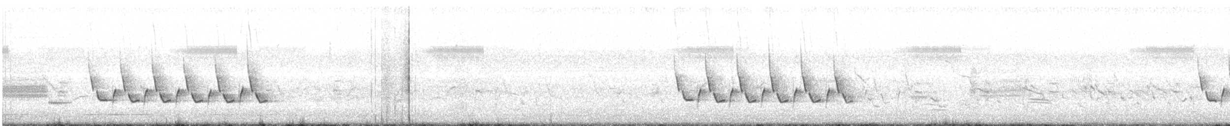 Каролинский крапивник - ML162234311