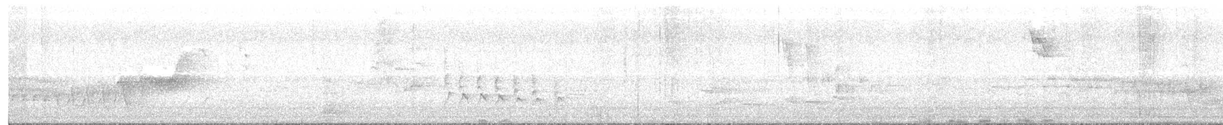 Madeira Chaffinch - ML162271941