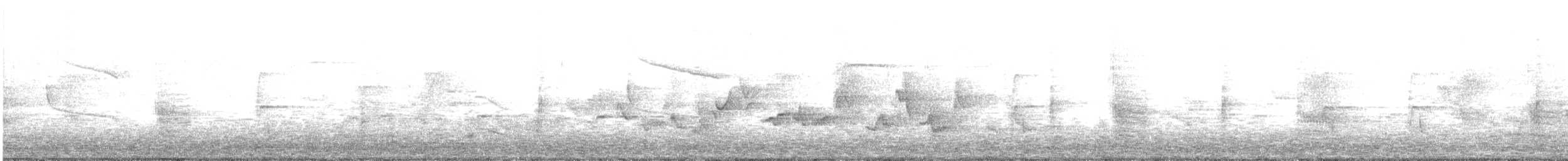 Eastern Warbling Vireo - ML162330531