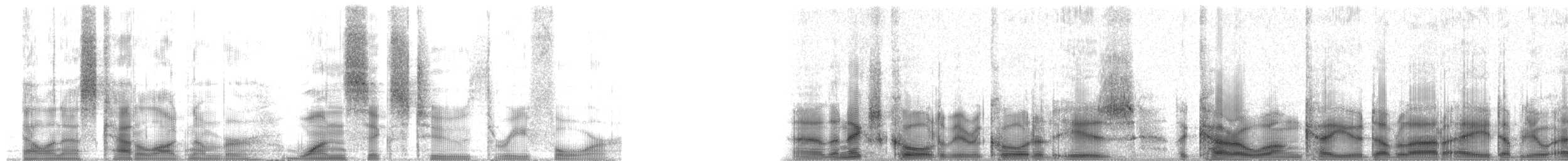 currawong sp. - ML16234