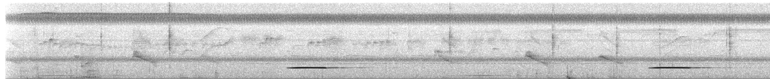 Серый скрытохвост - ML162343791