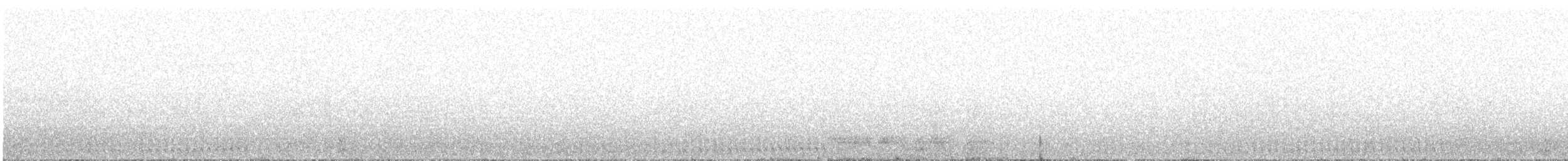 コシジロウミツバメ - ML162351621