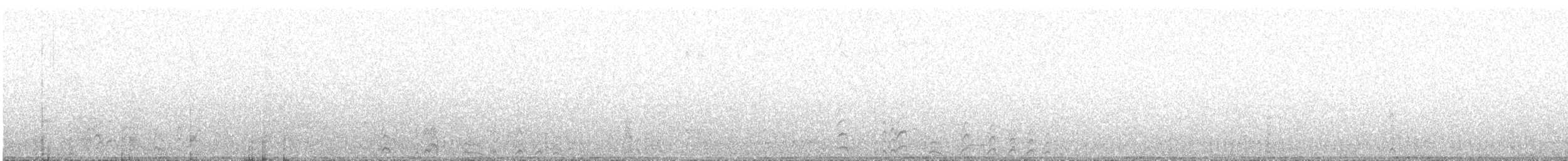 コシジロウミツバメ - ML162352641