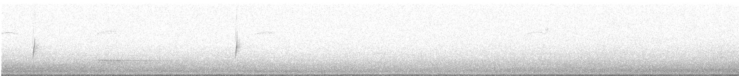 Küçük Boreal Sinekkapan - ML162355081