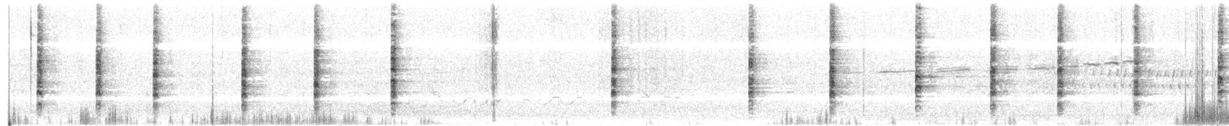 chřástal atlantický (ssp. crepitans/waynei) - ML162355491