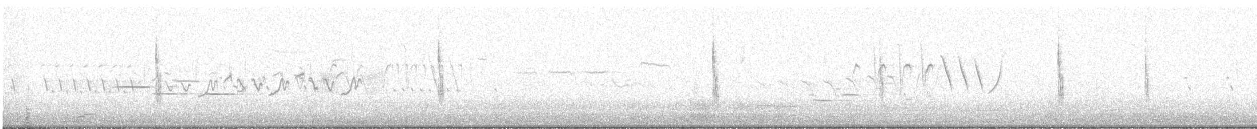 Канадская овсянка-барсучок (subvirgata) - ML162355851