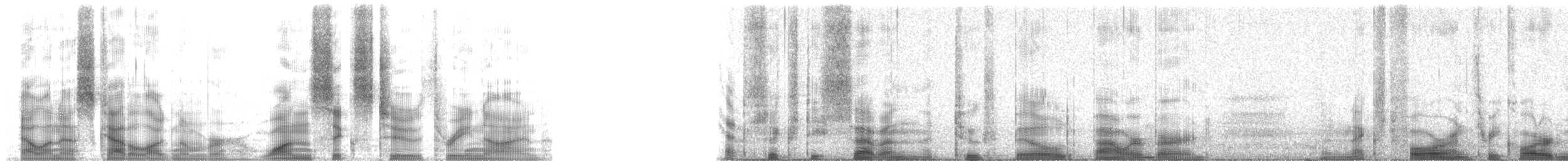 lemčík zejkozobý - ML16239