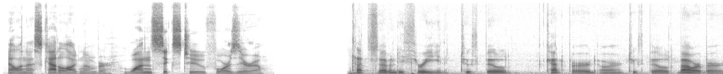 lemčík zejkozobý - ML16240