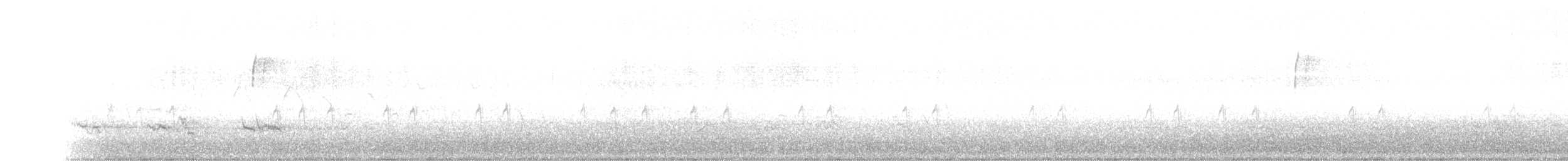 "Шишкар ялиновий (Northeastern, або тип 12)" - ML162463421