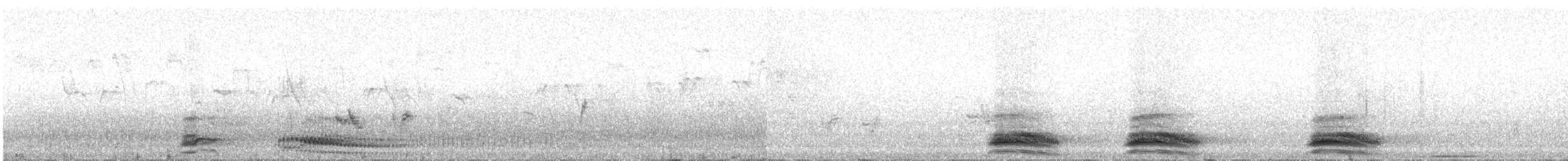 tykknebbkråke (culminatus) (indiakråke) - ML162476791