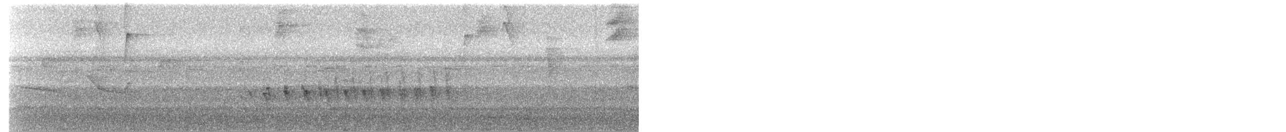 Chocó-Strichelameisenschlüpfer - ML162488621
