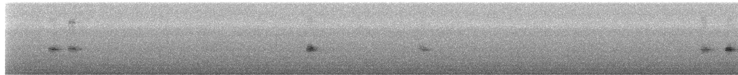 Пронурок білоголовий - ML162498411