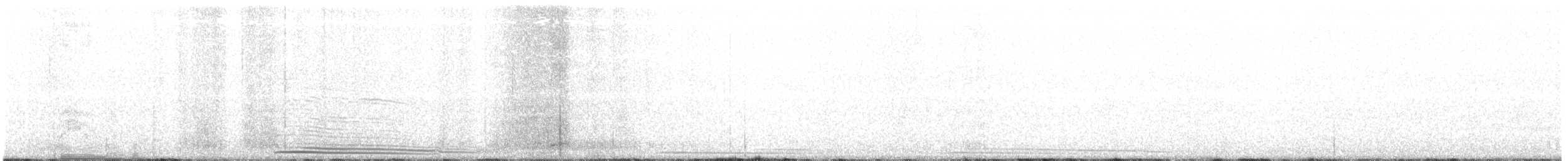 Madeirasturmvogel - ML162517631