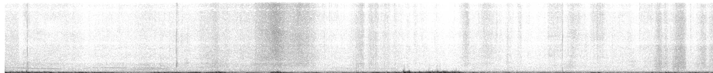 Madeirasturmvogel - ML162517681