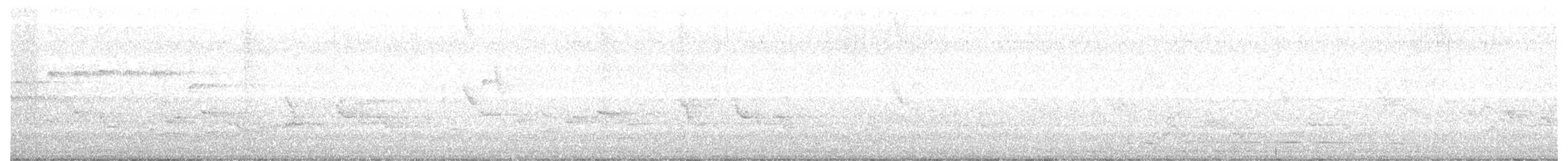 pěnice černohlavá - ML162519271