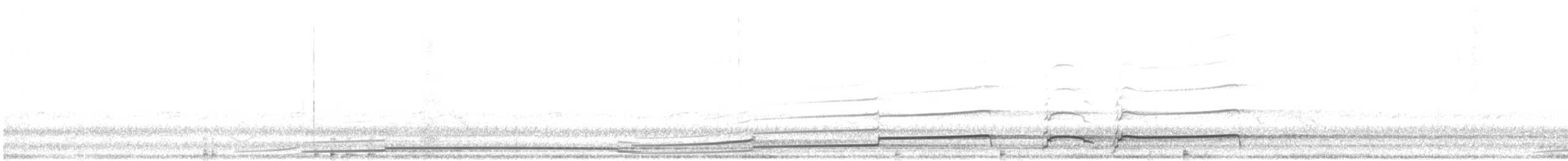 Plongeon huard - ML162552621