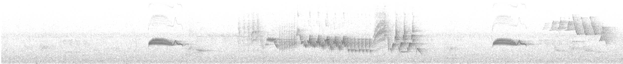 Northern House Wren - ML162574301