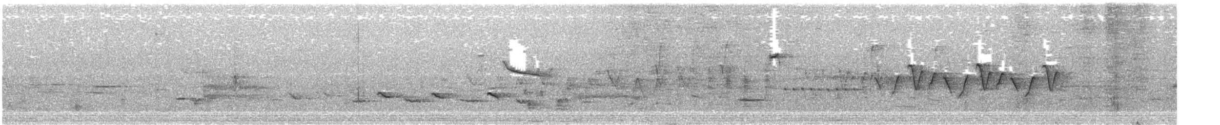 Baltimore Oriole - ML162582501