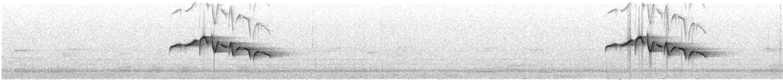 Тимелія-куцохвіст велика (підвид albiventer/pallidior) - ML162629901