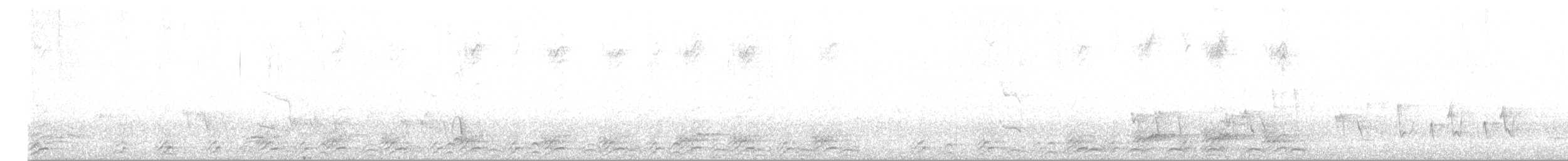 Gray-crowned Babbler - ML162630561